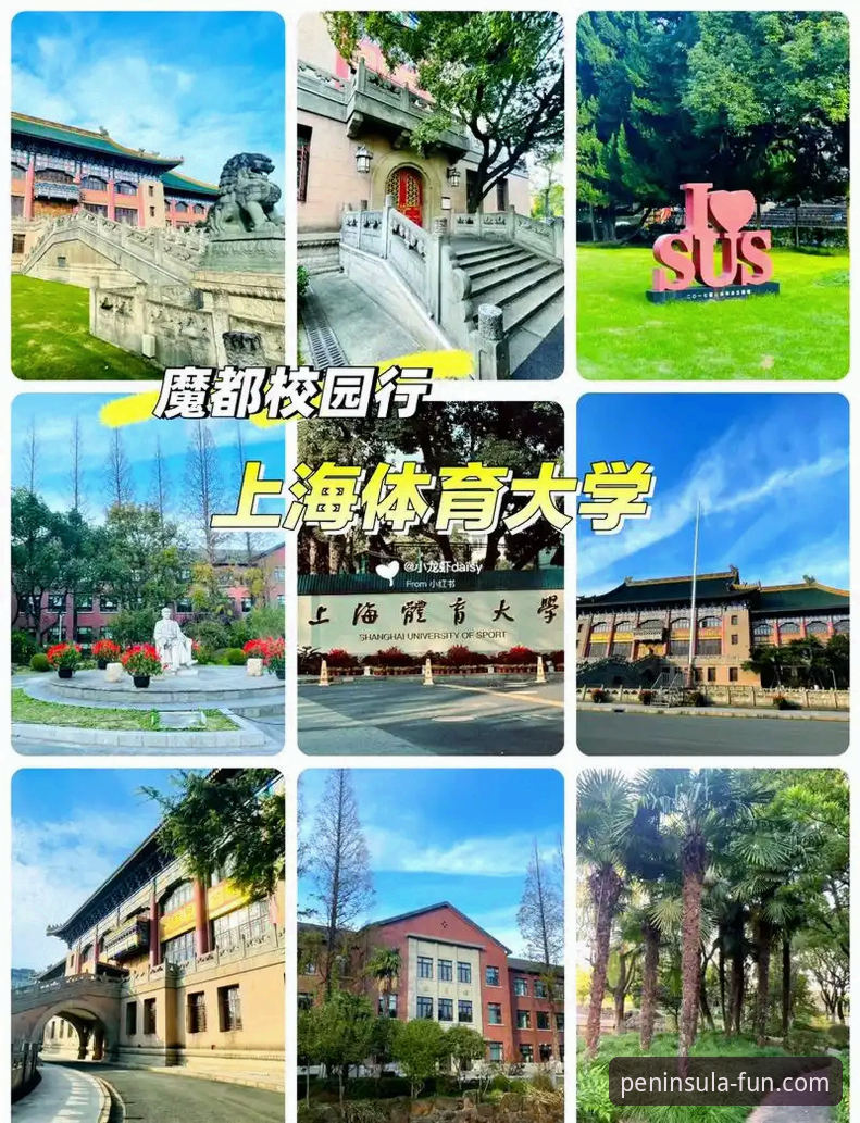 半岛体育平台常见问题全面解析：从注册到下载的实战指南
