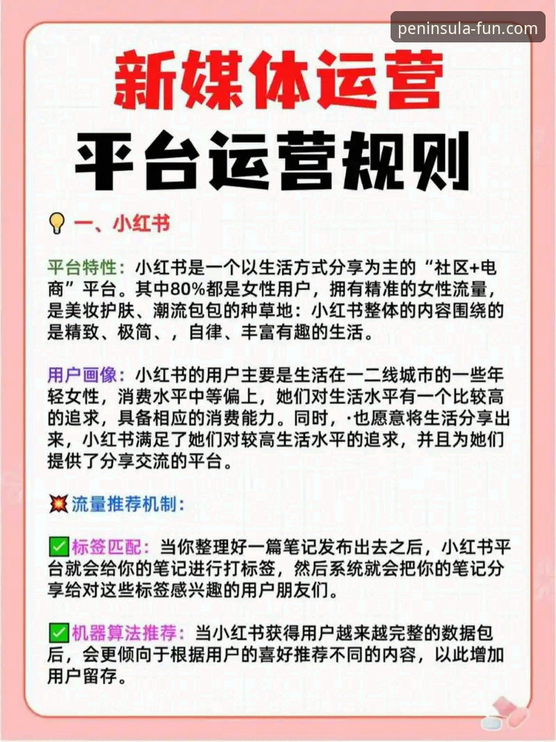 3种高效注册半岛娱乐平台的方法与5个避坑技巧